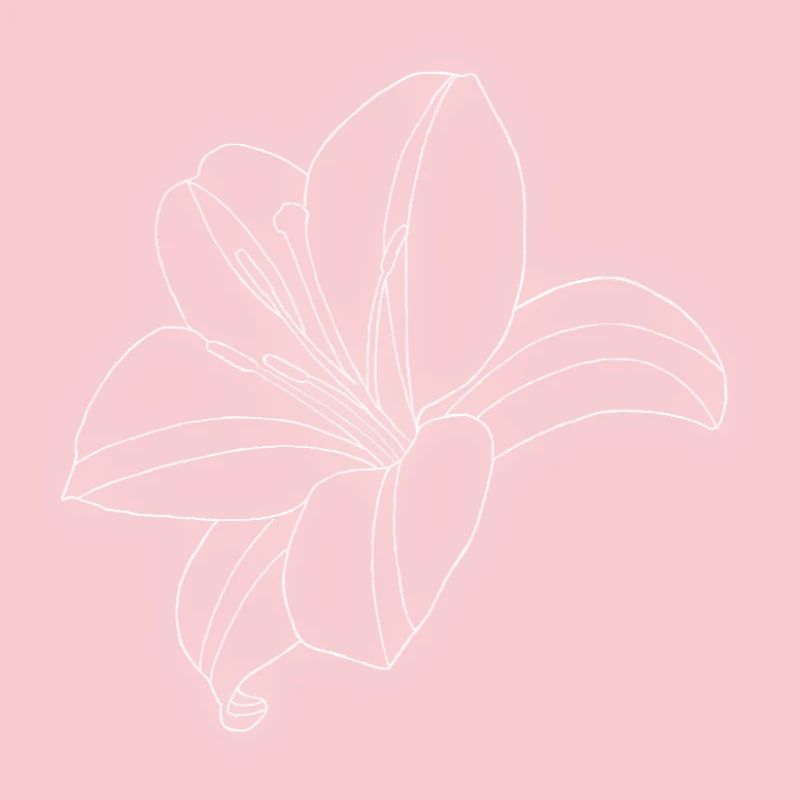 Lily
