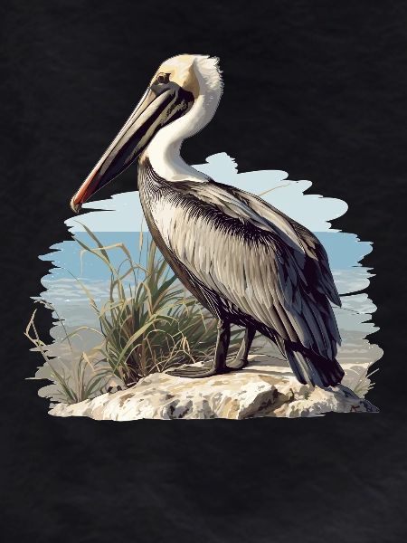 Pelicans Pelican