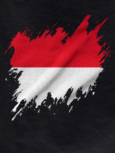 Indonesian flag, torn style
