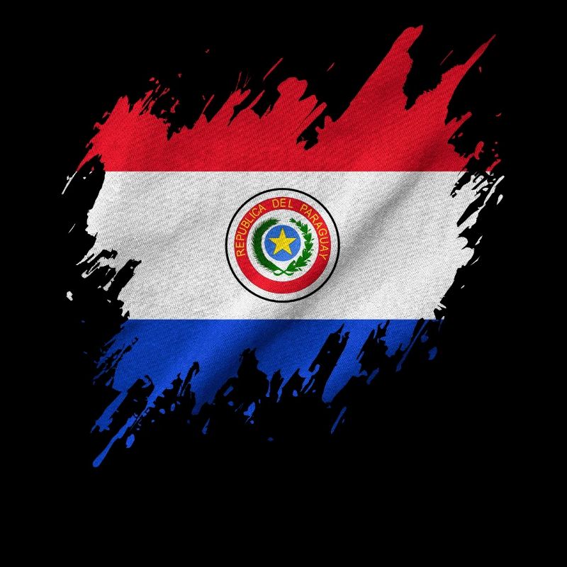 Drapeau du Paraguay, style déchiré