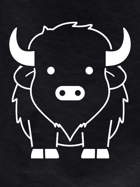 bison