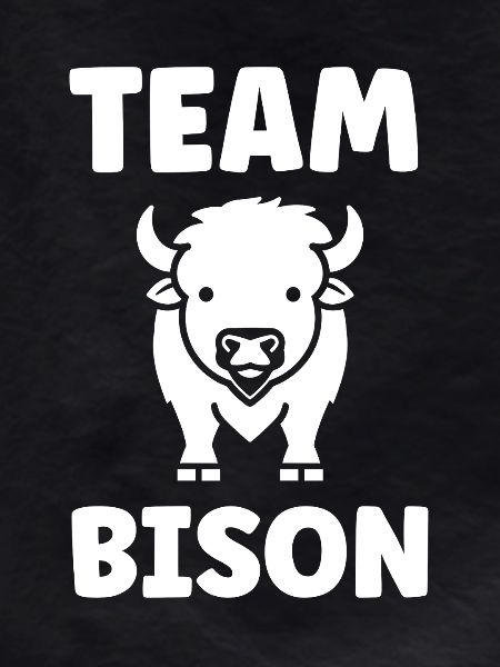 Bison