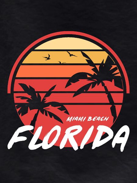 Miami Sunset Palms Florida