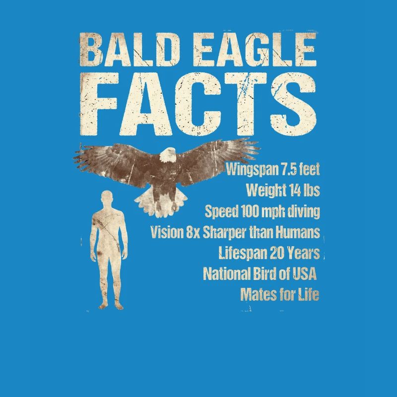 Bald Eagle Facts Bald Eagle Info