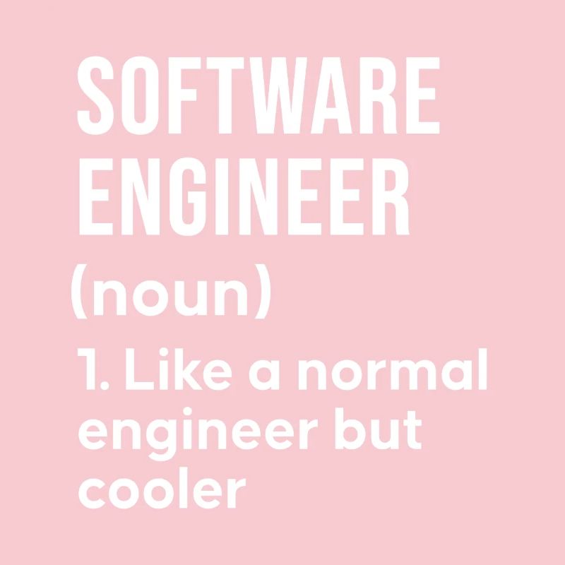 Software Engineer Spruch Shirt