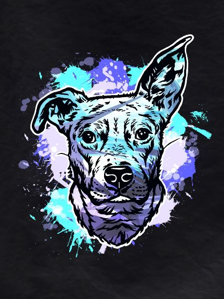 Beagle bull cross