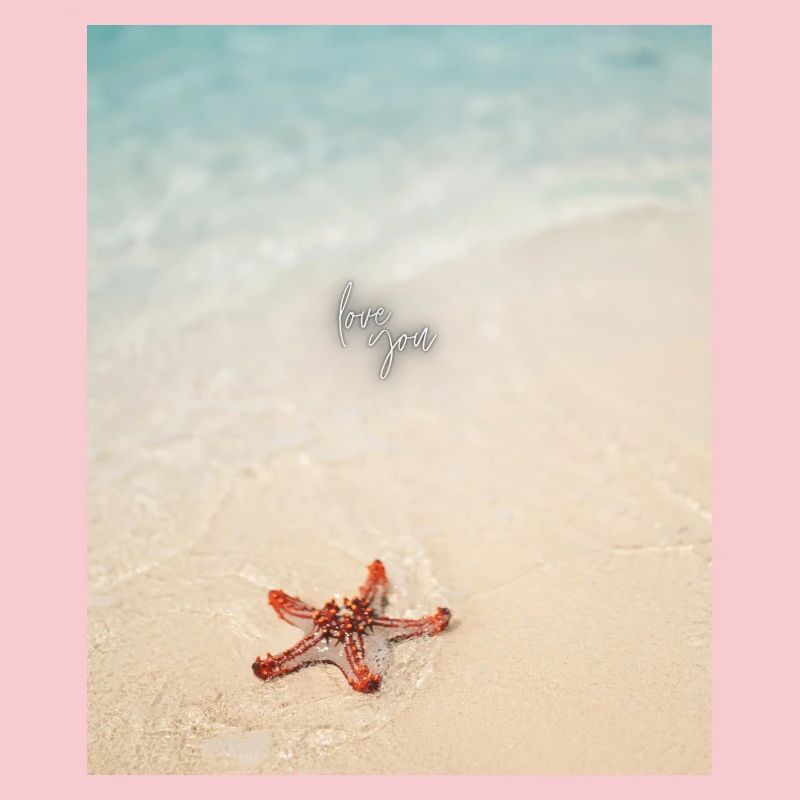 Love on the beach and starfish