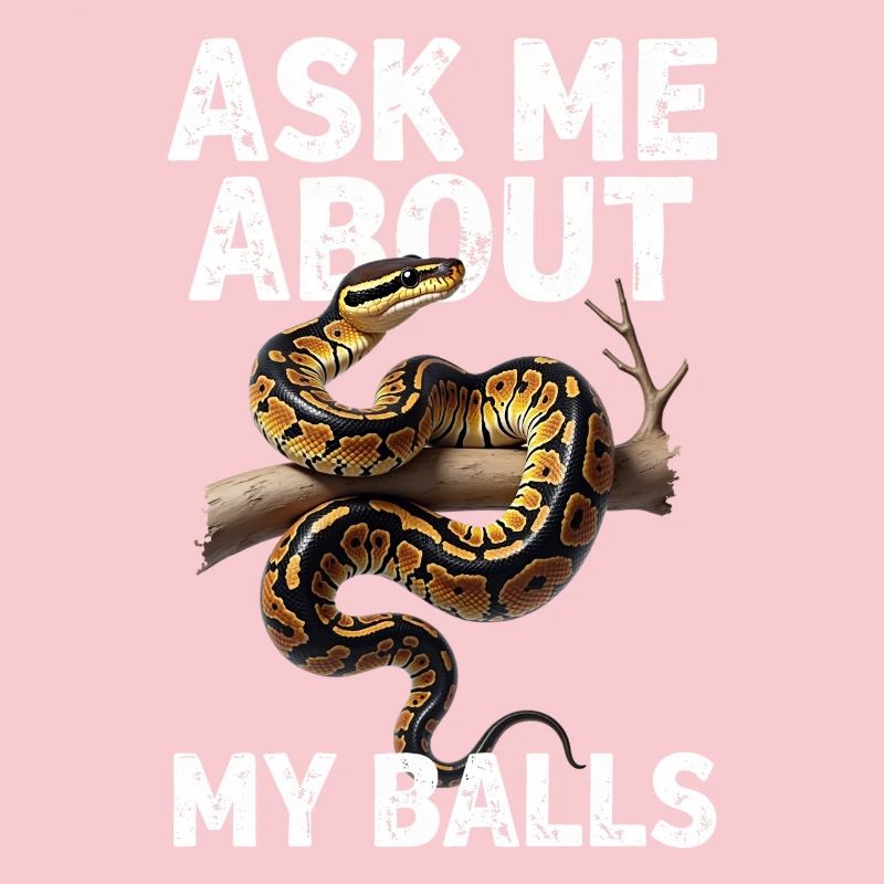 Königspython Schlangen Liebhaber Terrarium Python