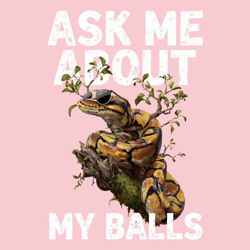 Königspython Schlangen Liebhaber Terrarium Python