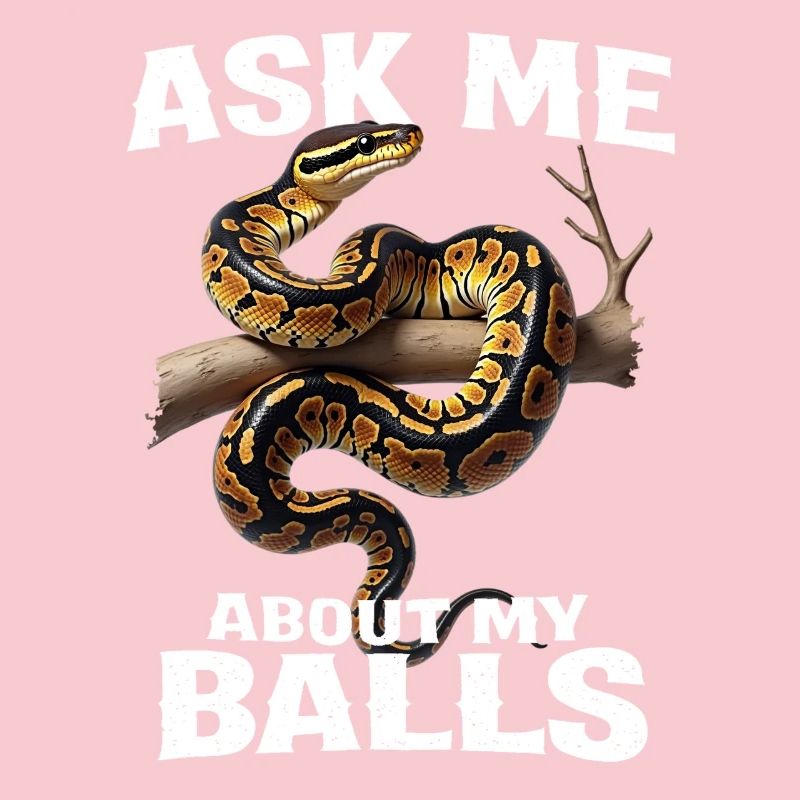 Königspython Schlangen Liebhaber Terrarium Python