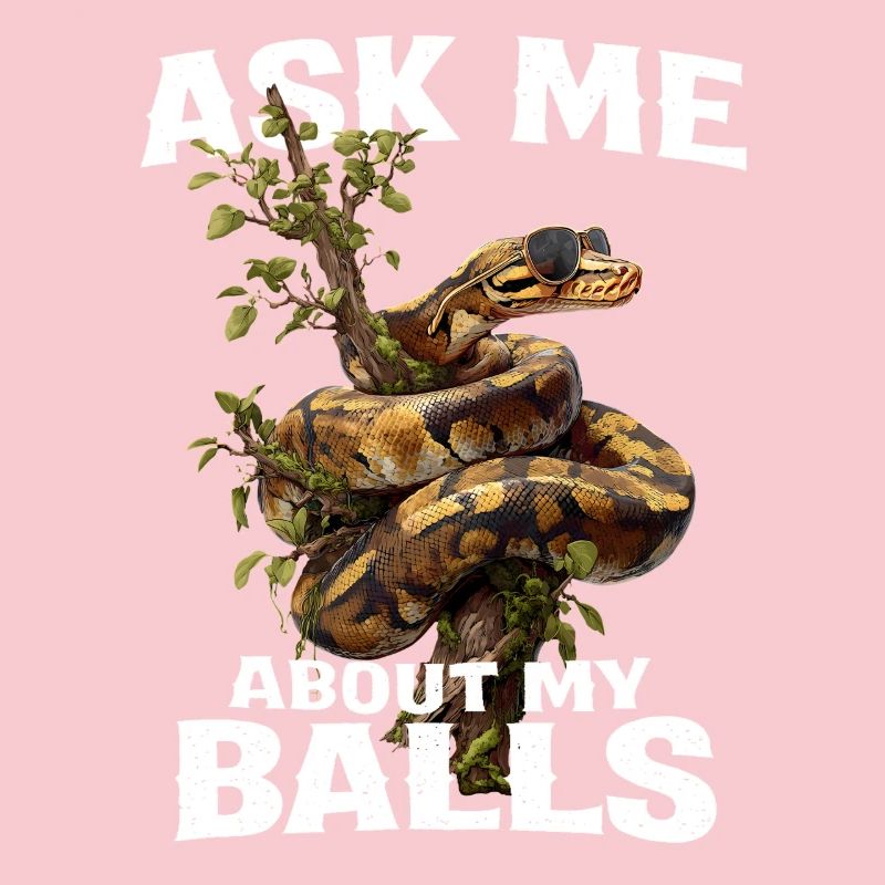 Königspython Schlangen Liebhaber Terrarium Python