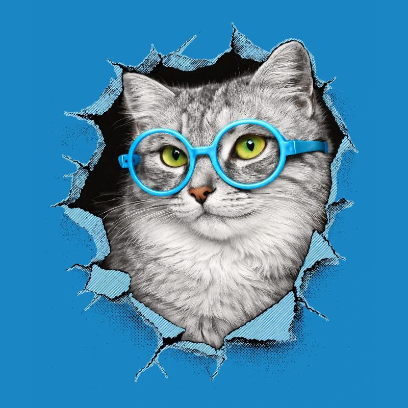 Chat mignon – Arts techniques mixtes Blue Glasses