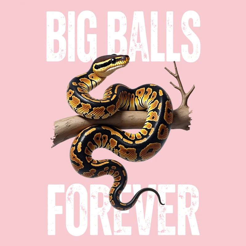 Königspython Schlangen Liebhaber Terrarium Python