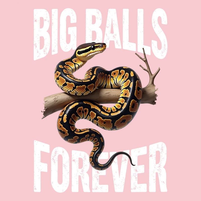 Königspython Schlangen Liebhaber Terrarium Python