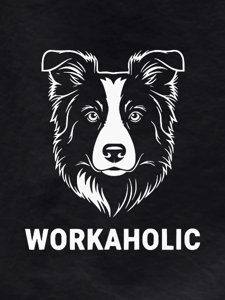 Workaholic Border Collie