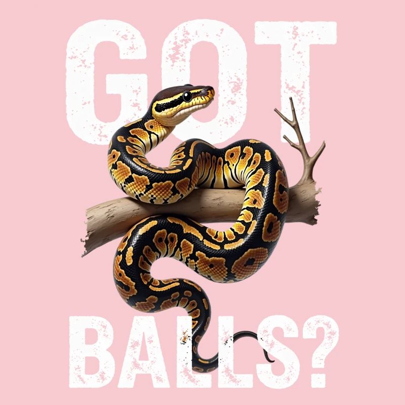 Königspython Schlangen Liebhaber Terrarium Python