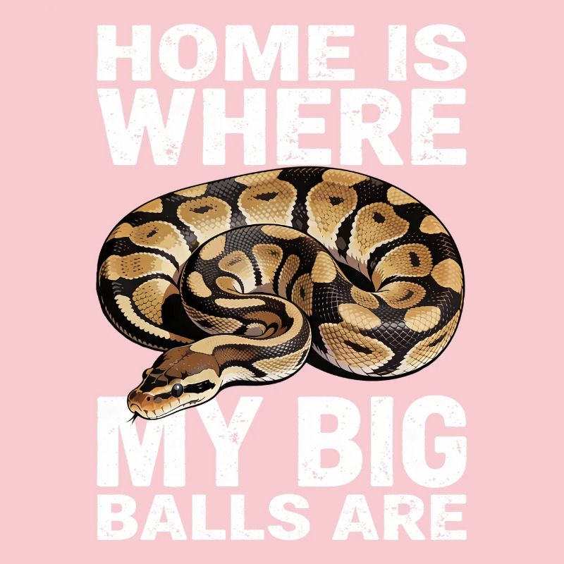 Königspython Schlangen Liebhaber Terrarium Python