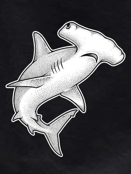 Hammerhead Shark Dot Illustration