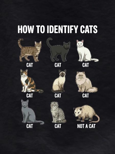 Cat Species Recognition Motif