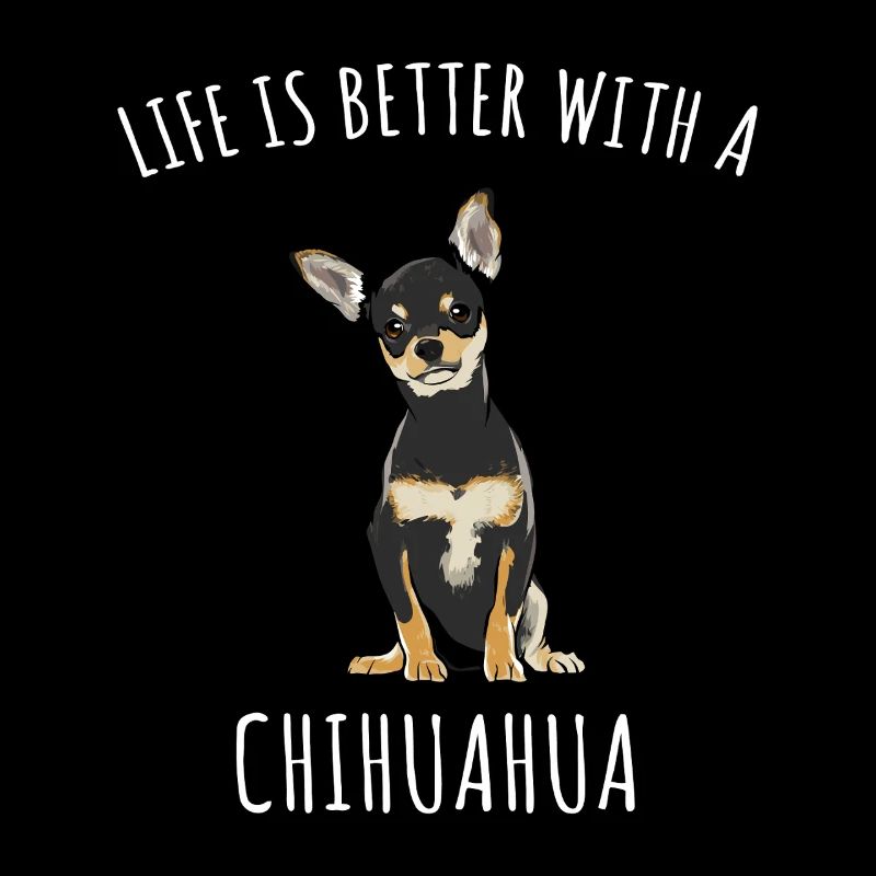 Chihuahua-Leben: Besser mit einem Welpen