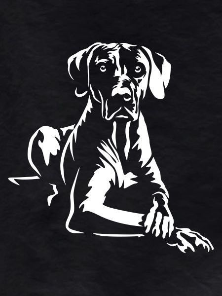 Rhodesian Ridgeback "Black Edition"