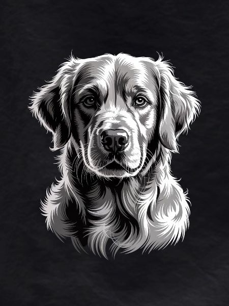 Labrador