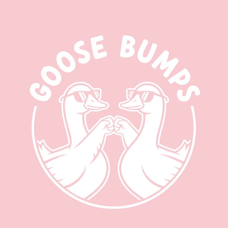 Goose Bumps Duck Duo