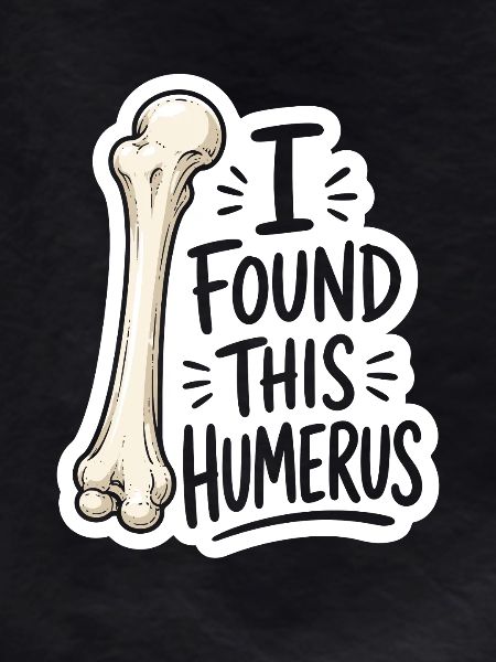 Humerus Discovery Sticker