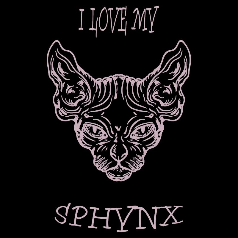 Chat nu Sphynx chat