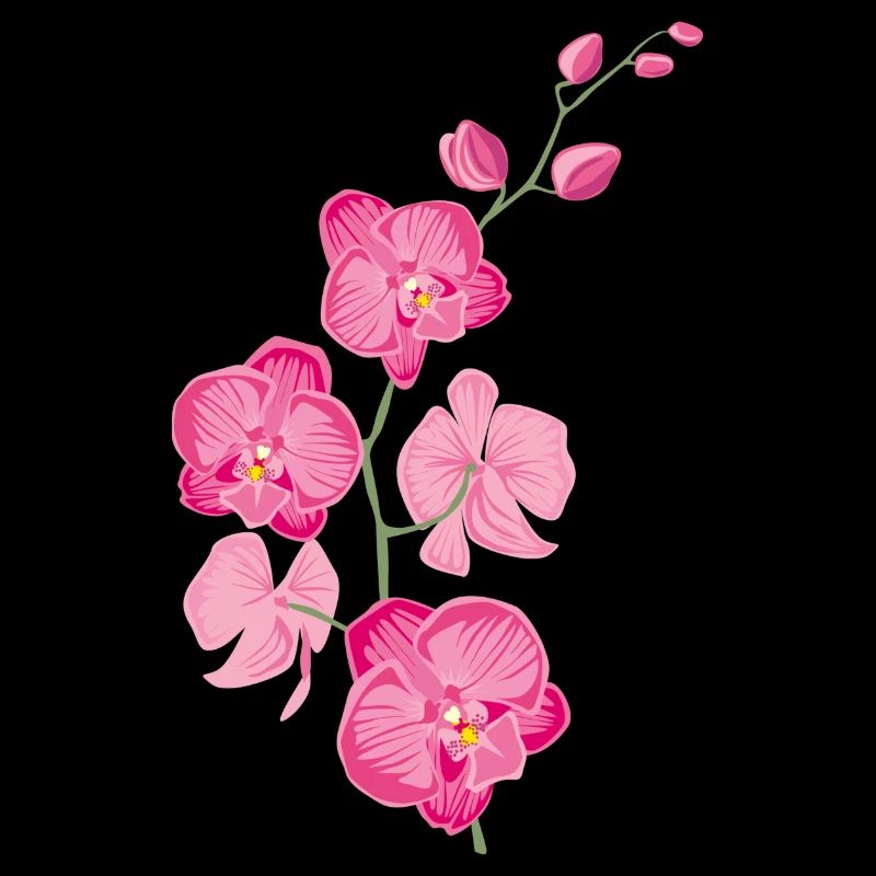 ORCHIDÉES fleur - cadeau d'amour - rose rose