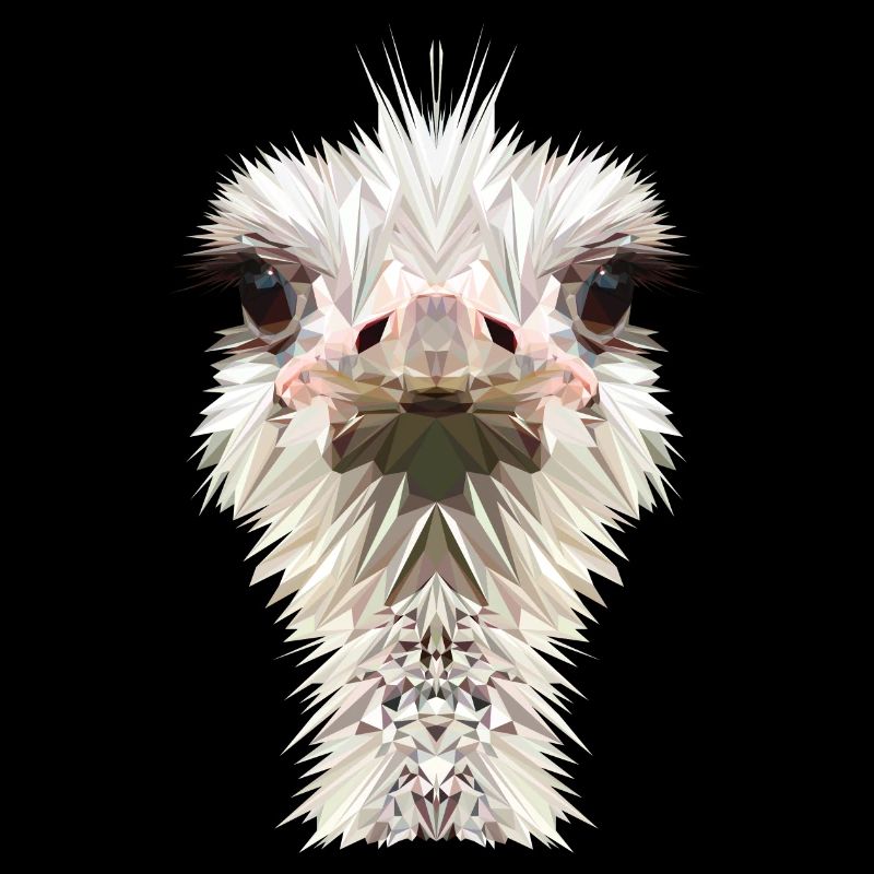 Ostrich
