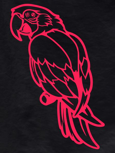 Parrot Animal Comic