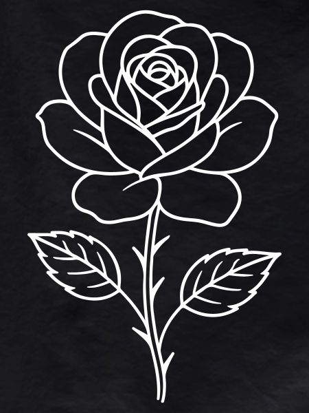 Rose Contour