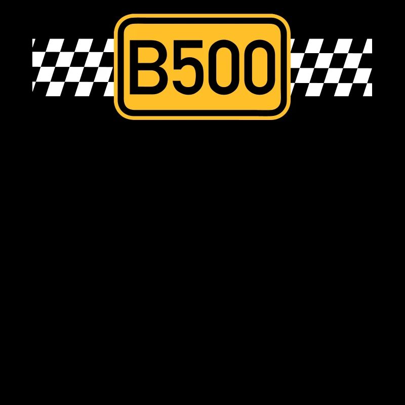 B500 Racing Team