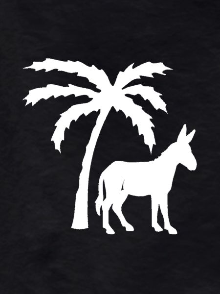 donkey