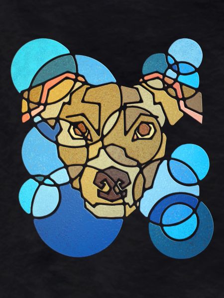 Dog Geometry