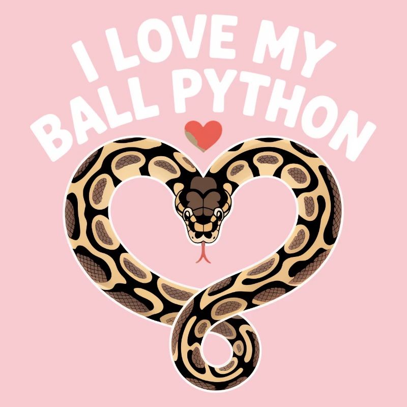 J’adore mon python royal ! Roi python