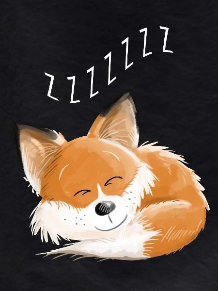 Fox sleeping - dream - dreams - foxes