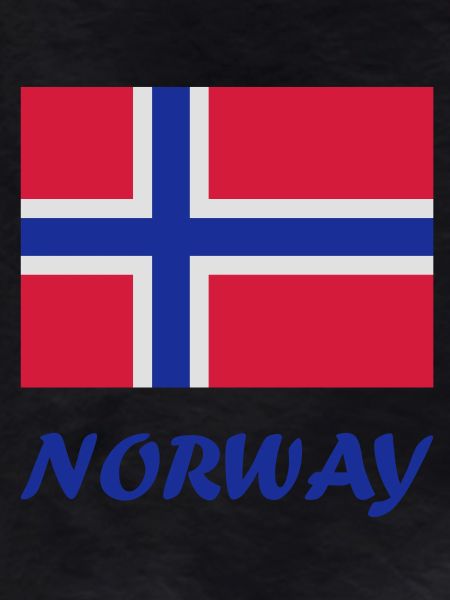 Drapeau norvégien