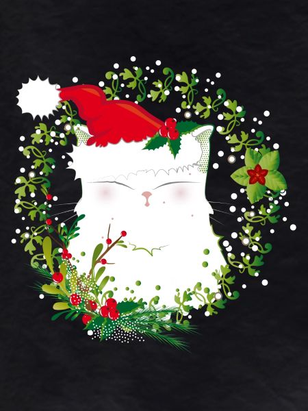 Chat de noel