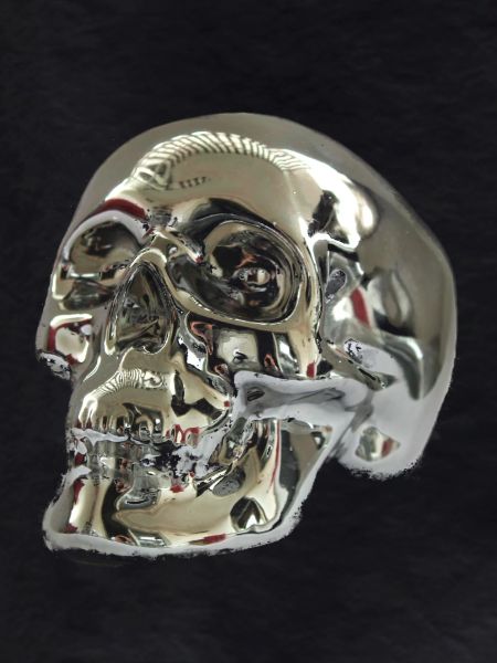 Silver skull