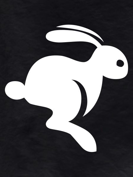 An adorable rabbit