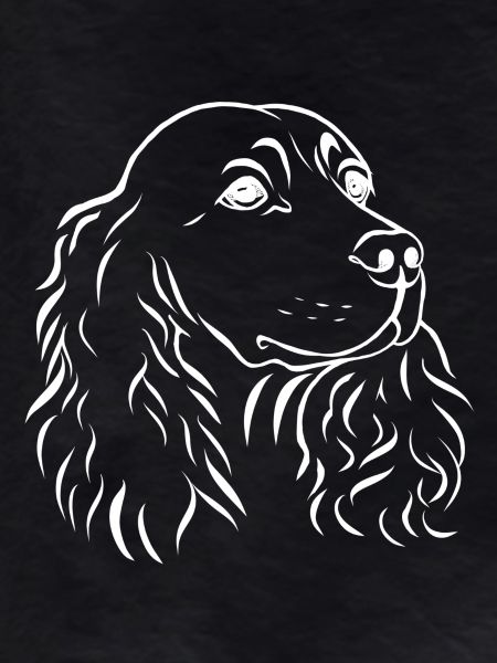 Spaniel portrait