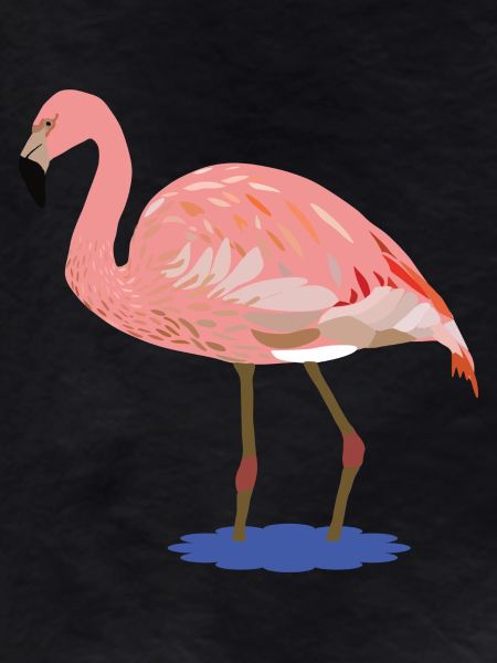 Flora Flamingo