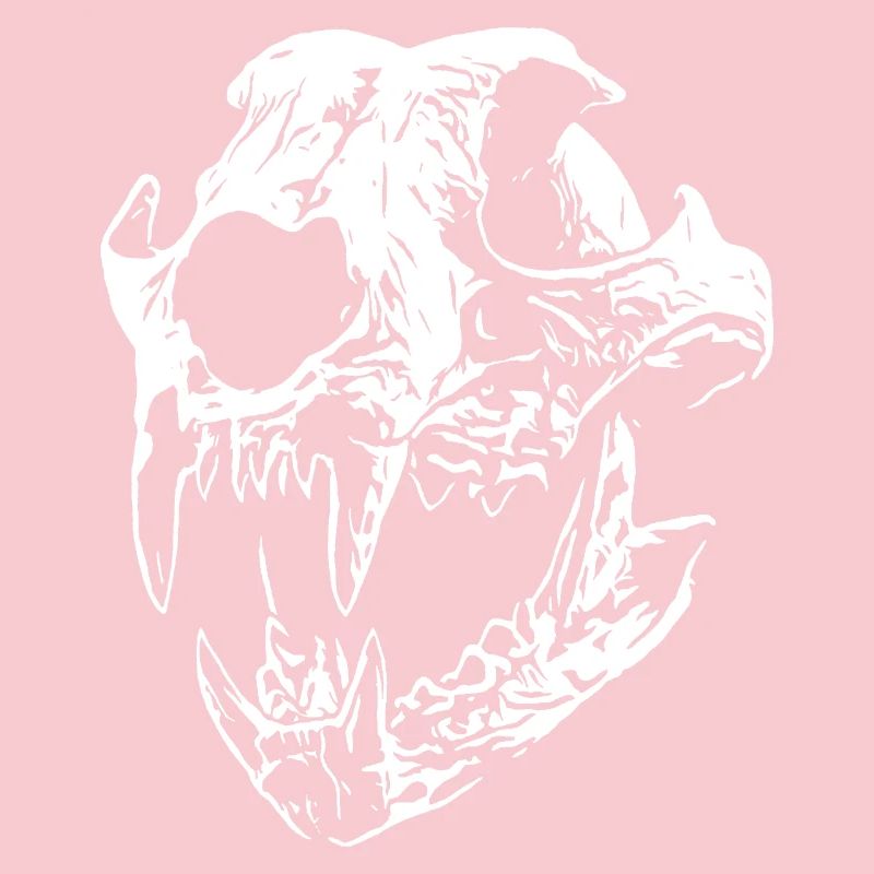 Smilodon skull with sharp teeth