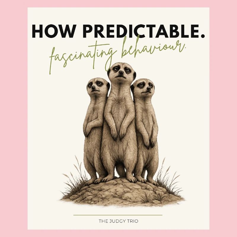 How Predictable Meerkat Trio