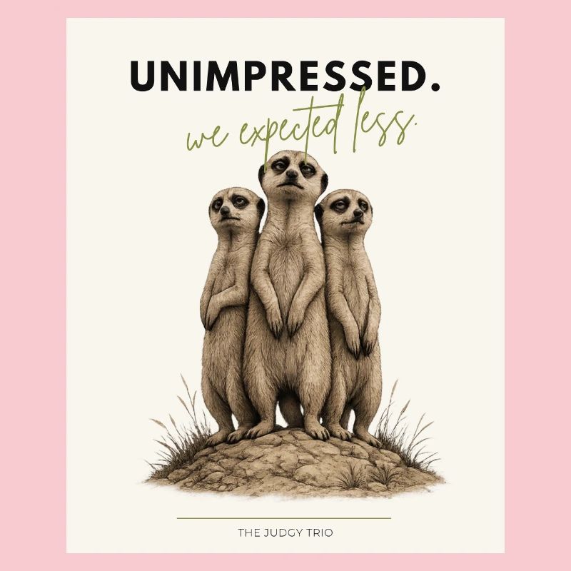 Trio de suricates peu impressionné