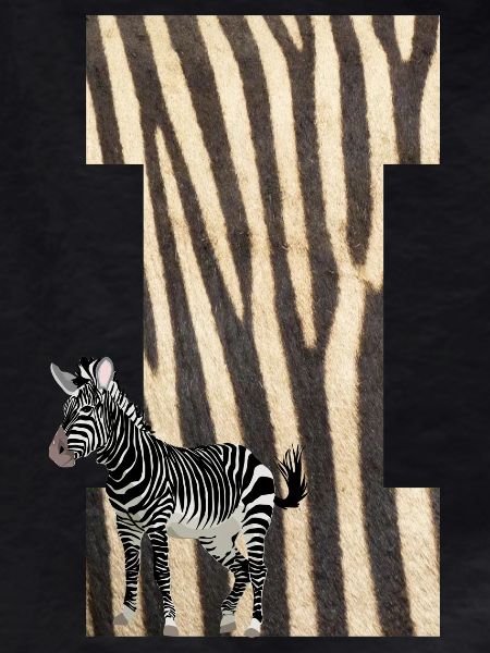 zebra i