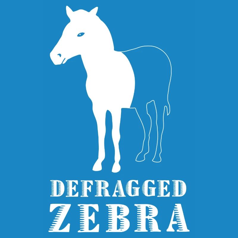 Defragged Zebra Informatiker Admin Geek Geschenk