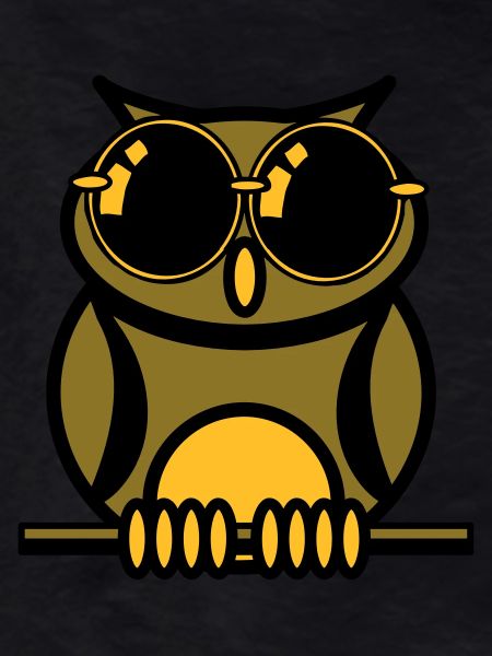 OWL sunglasses